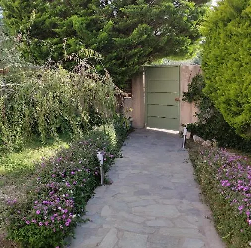 Katerina 伊利索斯